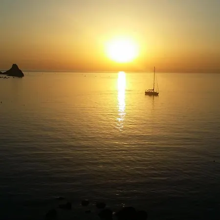 The Sea Feel