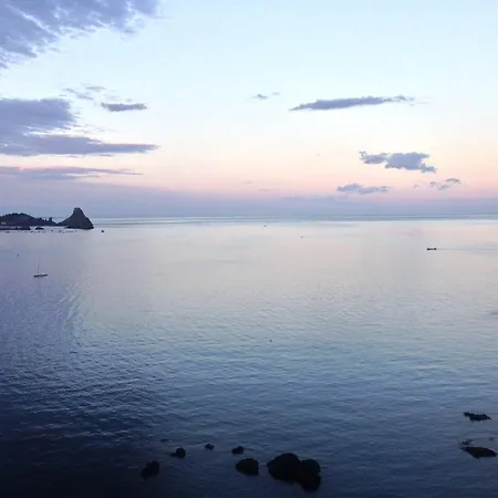 The Sea Feel