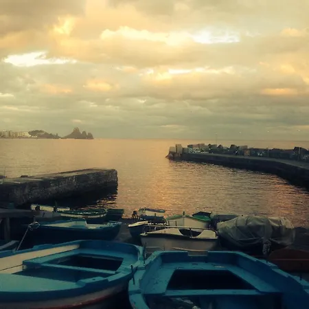 The Sea Feel