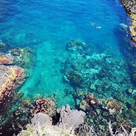The Sea Feel